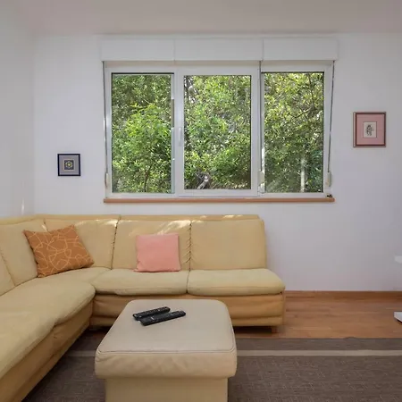 Apartamento Apartment In Center
